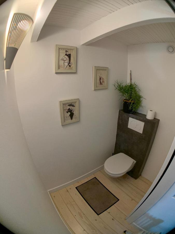 Appart Chic Et Cosy/Centre Ville/ 20Min De Paris Мезон-Лафит Экстерьер фото